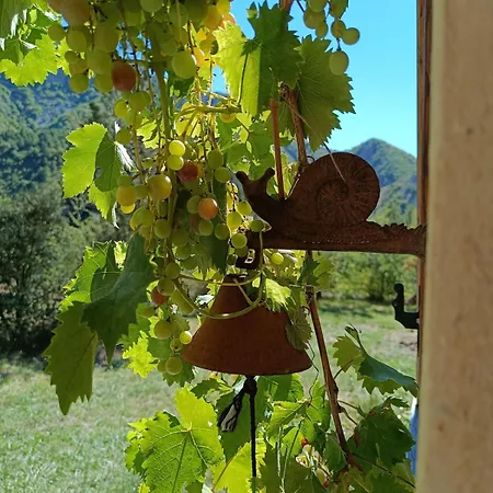 La Sauterelle - Maison Lumineuse Avec Vue Sur Le Mont Ventoux *